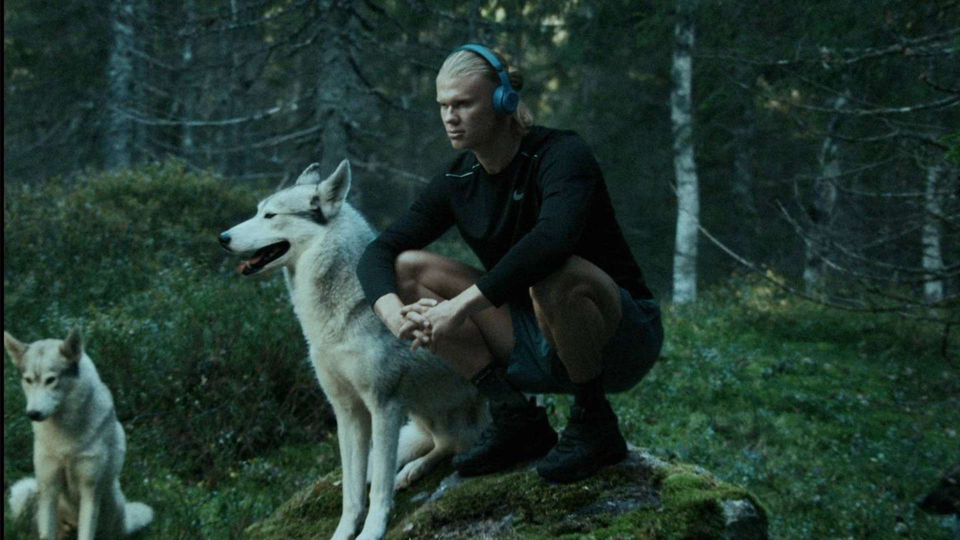 其对球员的 其对球员的