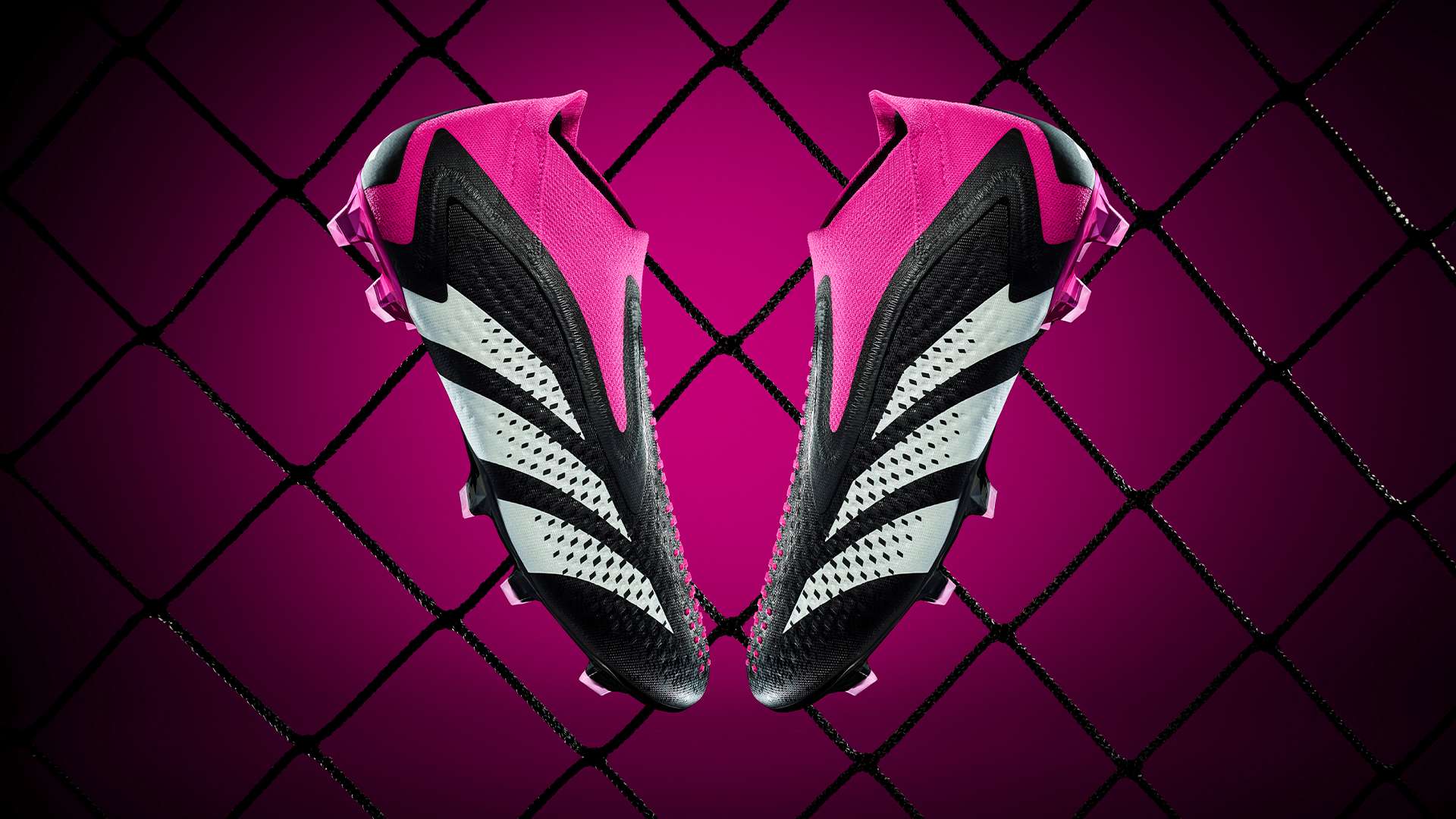 城市的著名 城市的著名