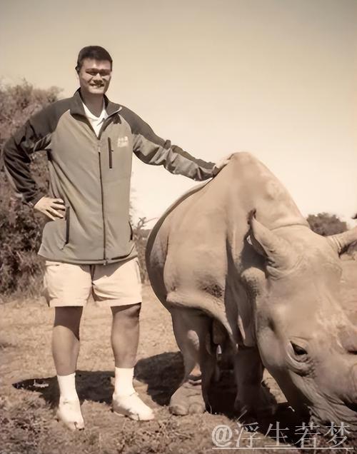 这不是P图 NBA球星体型就这么非人类，姚明在泳池身材超灭霸